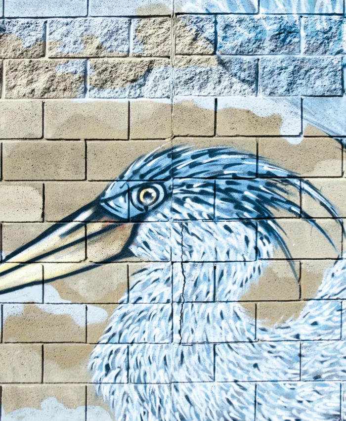 Aprendiendo a volar: el proceso, 3