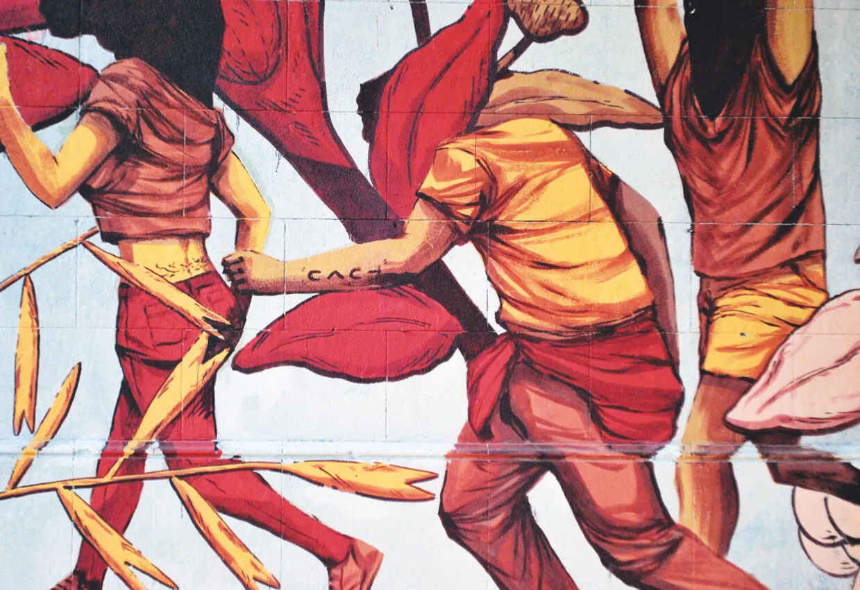 Manada Local: el proceso, 1